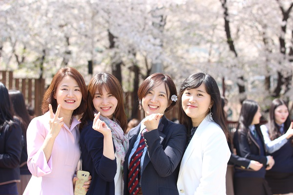 Cherry Blossom Festival 2018