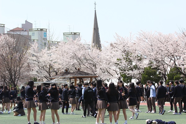 Cherry Blossom Festival 2018