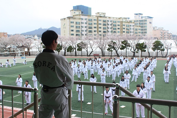 Grade 1 Taekwondo Performance