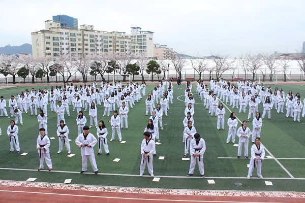 Grade 1 Taekwondo Performance