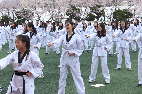 Grade 1 Taekwondo Performance