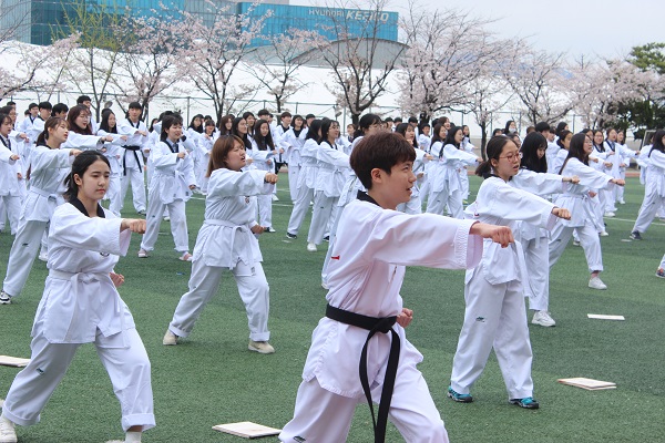 Grade 1 Taekwondo Performance