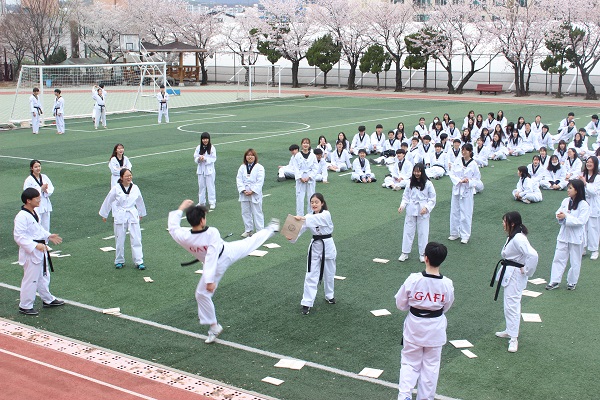 Grade 1 Taekwondo Performance