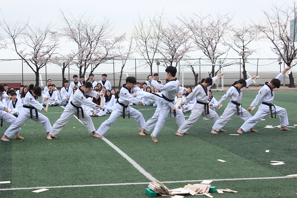 Grade 1 Taekwondo Performance