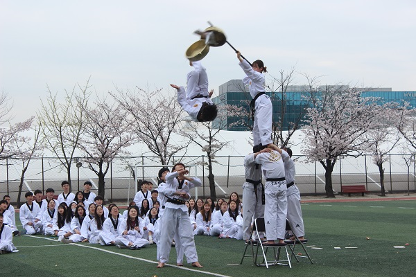 Grade 1 Taekwondo Performance