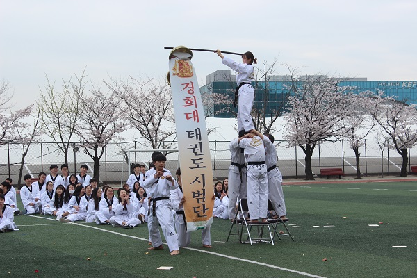 Grade 1 Taekwondo Performance