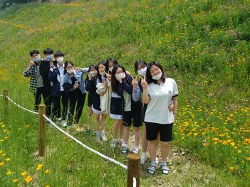 Flowers on GAFL Hills