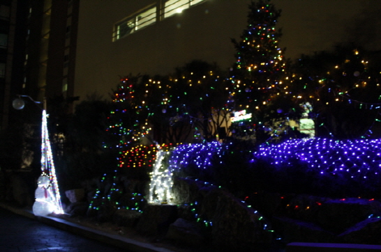 2017 GAFL Chrstmas Tree Lighting Ceremony