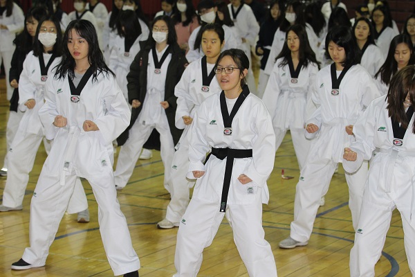 Morning Workout (Taekwondo) - Day 6