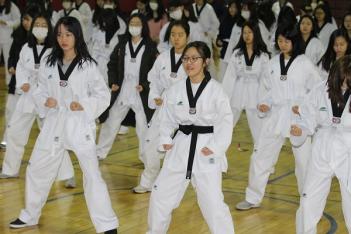 Morning Workout (Taekwondo) 2