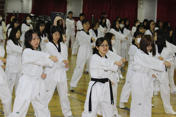 Morning Workout (Taekwondo) - Day 6