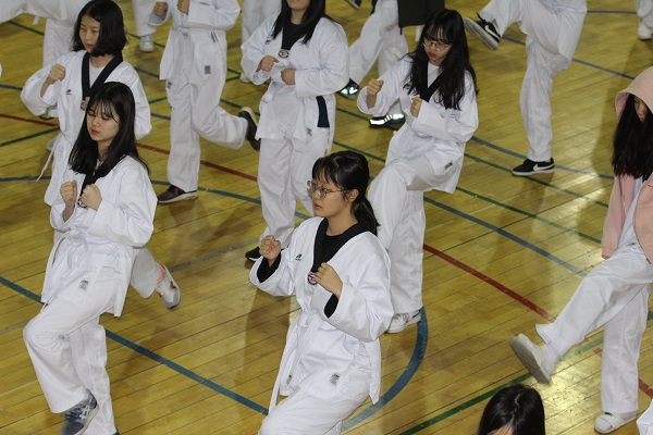 Morning Workout (Taekwondo) - Day 6